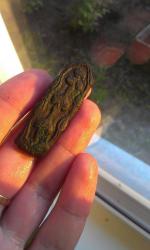 post-26894-0-13666900-1404804168_thumb.j