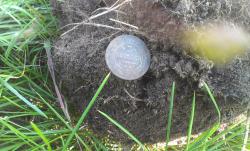 post-26894-0-69149000-1404804117_thumb.j