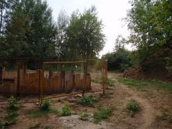 post-26941-0-36572400-1406296994_thumb.j