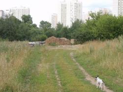 post-26941-0-47610400-1406296900_thumb.j