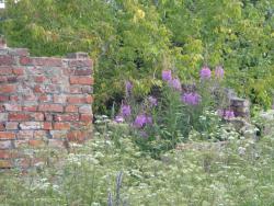 post-26941-0-63542600-1404237272_thumb.j