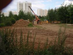 post-26941-0-83515600-1406296952_thumb.j