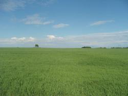 post-27127-0-21254600-1404627056_thumb.j