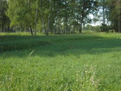 post-27127-0-41570300-1404627431_thumb.j