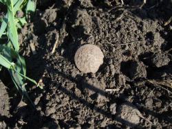 post-27127-0-62792400-1404627338_thumb.j