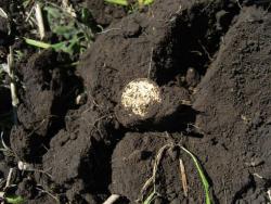 post-27127-0-77574800-1404627344_thumb.j