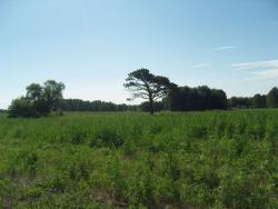 post-27127-0-90064800-1404627165_thumb.j