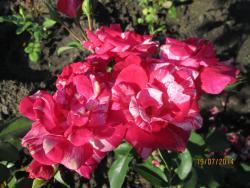 post-27143-0-38811800-1406170028_thumb.j