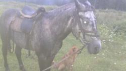 post-27646-0-77170500-1406831326_thumb.j