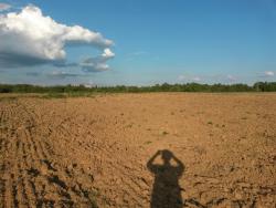 post-27784-0-14771500-1404998126_thumb.j