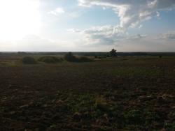 post-27784-0-39957900-1404998140_thumb.j