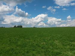 post-27784-0-91974800-1404998092_thumb.j