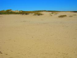 post-27981-0-87873900-1405359034_thumb.j