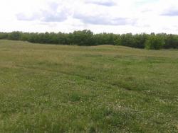 post-29383-0-45214200-1404388995_thumb.j