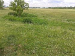 post-29383-0-45775000-1404388959_thumb.j