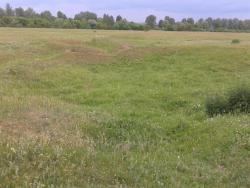 post-29383-0-59060100-1404388934_thumb.j