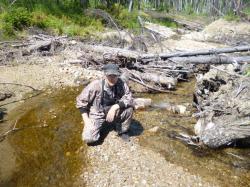 post-29656-0-68276000-1405146414_thumb.j