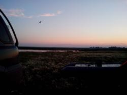 post-29708-0-60247100-1405683032_thumb.j