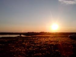 post-29708-0-72473700-1405682981_thumb.j