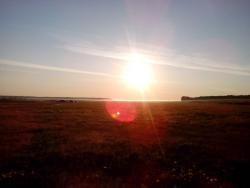 post-29708-0-78998800-1405683046_thumb.j