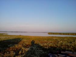 post-29708-0-99904800-1405683058_thumb.j