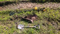 post-31186-0-27892200-1404665735_thumb.j