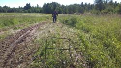 post-31186-0-29394900-1404665617_thumb.j