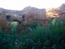 post-31368-0-51147900-1406654557_thumb.j