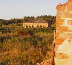 post-31368-0-82940100-1406654507_thumb.j