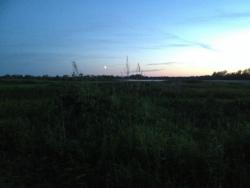 post-31515-0-02395100-1404660963_thumb.j