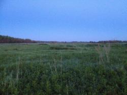 post-31515-0-22077100-1404660975_thumb.j