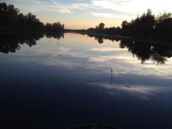 post-31515-0-50364500-1404659888_thumb.j