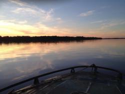 post-31515-0-67334400-1404660470_thumb.j