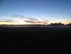 post-31515-0-74594800-1404661117_thumb.j