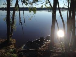 post-31515-0-88191700-1404661575_thumb.j