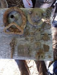 post-31515-0-91776900-1404669039_thumb.j