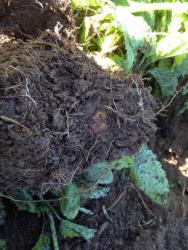 post-31515-0-93101000-1404664491_thumb.j