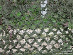 post-31724-0-44103000-1404585988_thumb.j