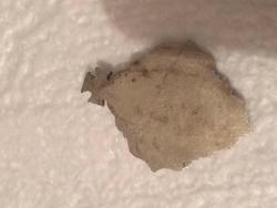 post-31797-0-97874500-1405449314_thumb.j