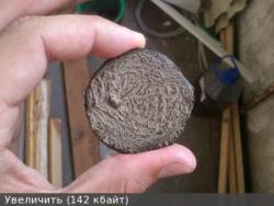 post-31802-0-54008500-1405918893_thumb.j