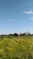 post-4445-0-23984300-1405059861_thumb.jp