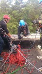 post-4485-0-49401400-1405099706_thumb.jp