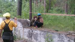 post-4485-0-65301000-1405100419_thumb.jp