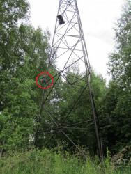 post-4485-0-83725100-1405097933_thumb.jp