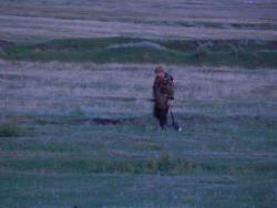 post-4989-0-57379200-1405445391_thumb.jp