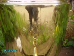 post-5620-0-01621900-1404747542_thumb.jp