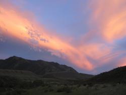 post-6685-0-33826900-1404462202_thumb.jp