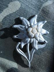 post-6890-0-47632900-1404289330_thumb.jp