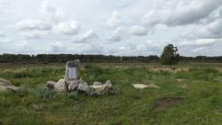 post-6911-0-29370000-1406816721_thumb.jp