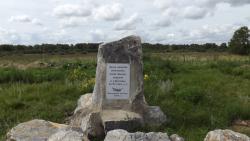 post-6911-0-52086400-1406816791_thumb.jp